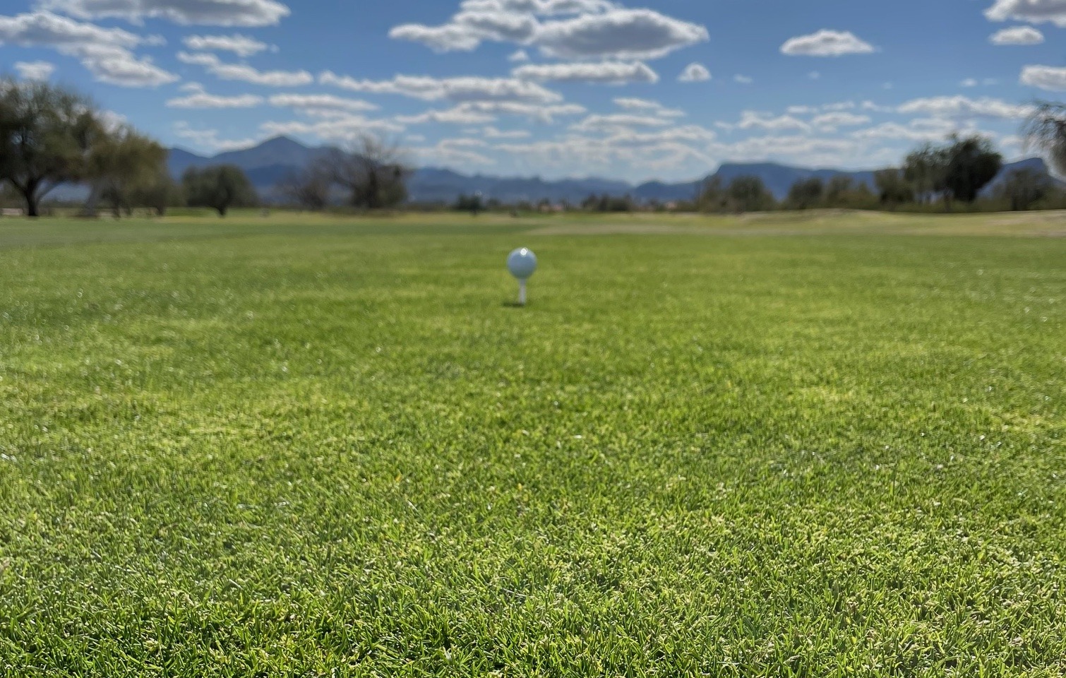 Golf ball on tee in grass