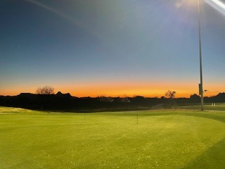 Crooked Tree at Sunset