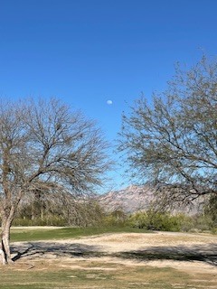 Day moon over Crooked Tree